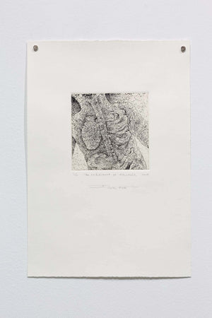 The embodiment of fractals