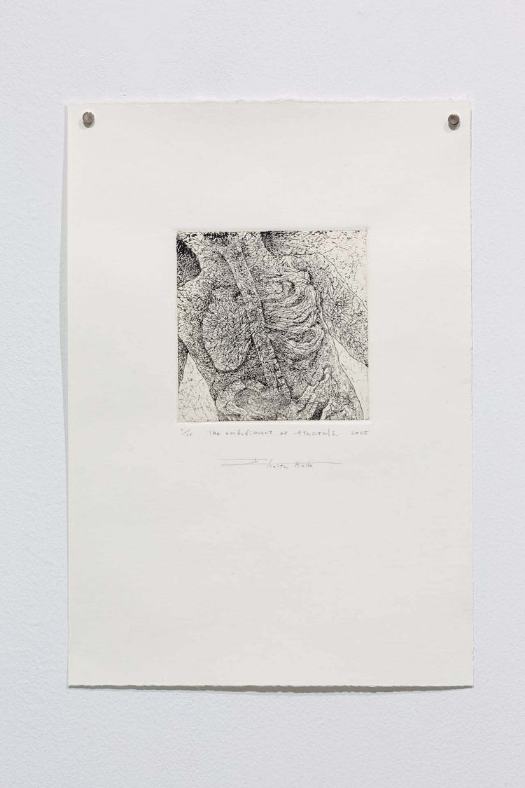 The embodiment of fractals