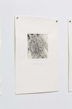 The embodiment of fractals