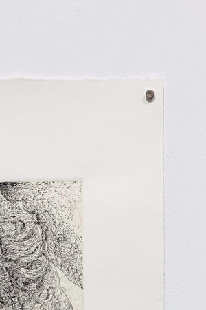 The embodiment of fractals