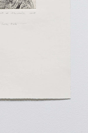 The embodiment of fractals