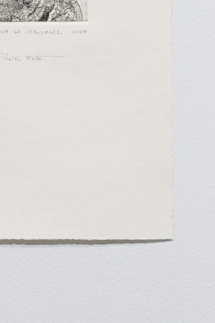 The embodiment of fractals