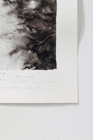 Japanese trees