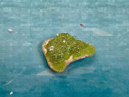 スミレの小島
