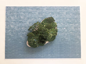 クスノキの島