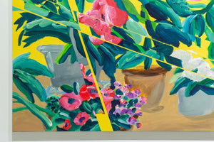 yellow back slipped flower pots