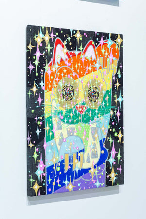 Rainbow cat connects with the universe and beckons