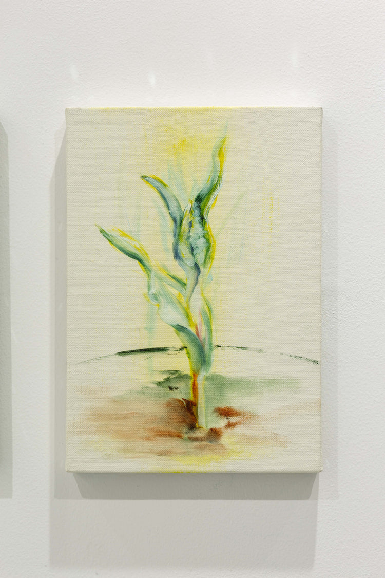 立春