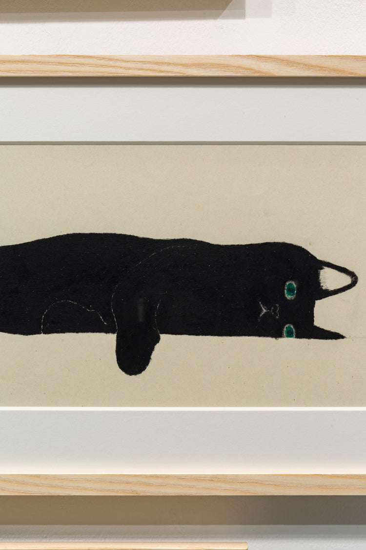 黒猫
