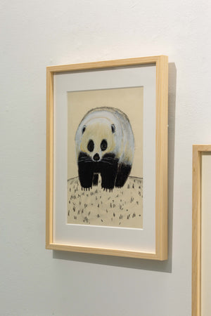 ニホンアナグマ