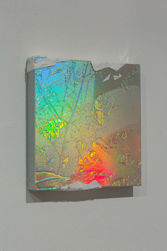 Black Triplet Butterfly