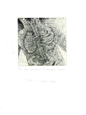 The embodiment of fractals