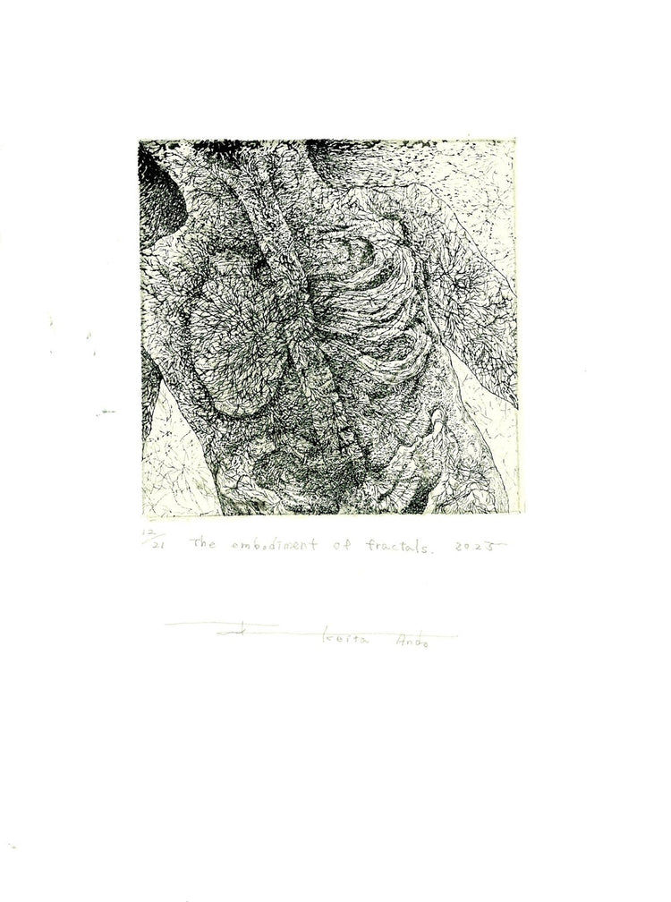 The embodiment of fractals