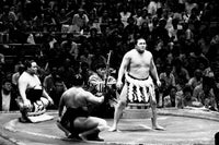 Yokozuna Hakuho XIX