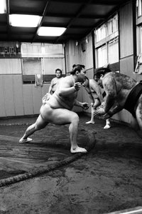 Yokozuna Hakuho V