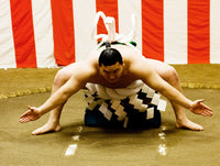 Yokozuna Hakuho IX